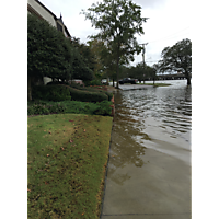 Hurricane Florence  image